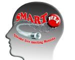 SMART-H24: Stroke management and advanced revascularization therapy H24